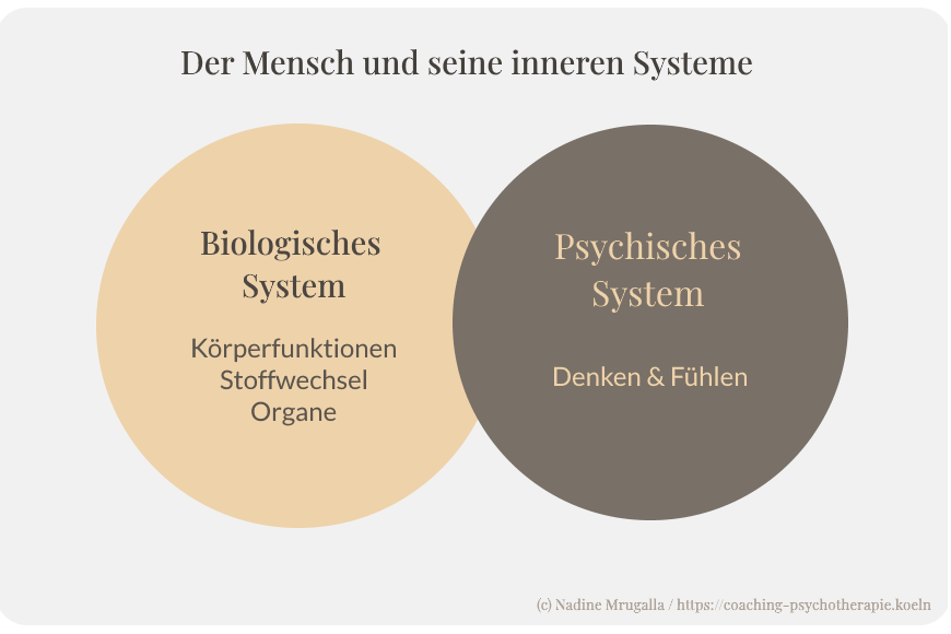 Systemische Beratung - Innere Systeme des Menschen